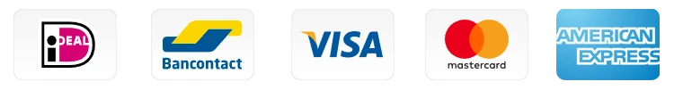 payment-ideal-visa